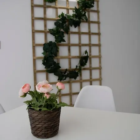 מלון Alda Orzan א-קורוניה