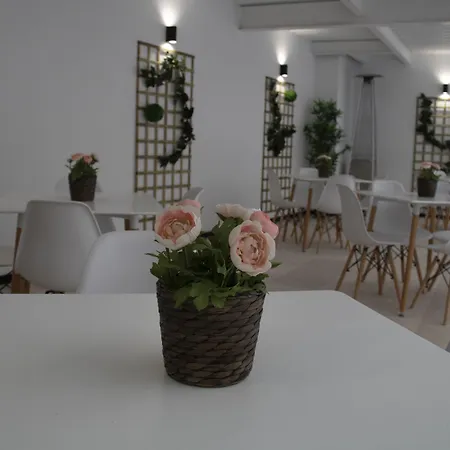 Hotel Alda Orzan 2*